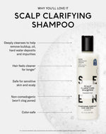 SEEN Healthy Scalp Bundle, Fragrance Free