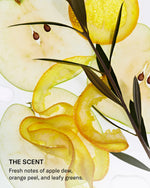 SEEN Healthy Scalp Bundle