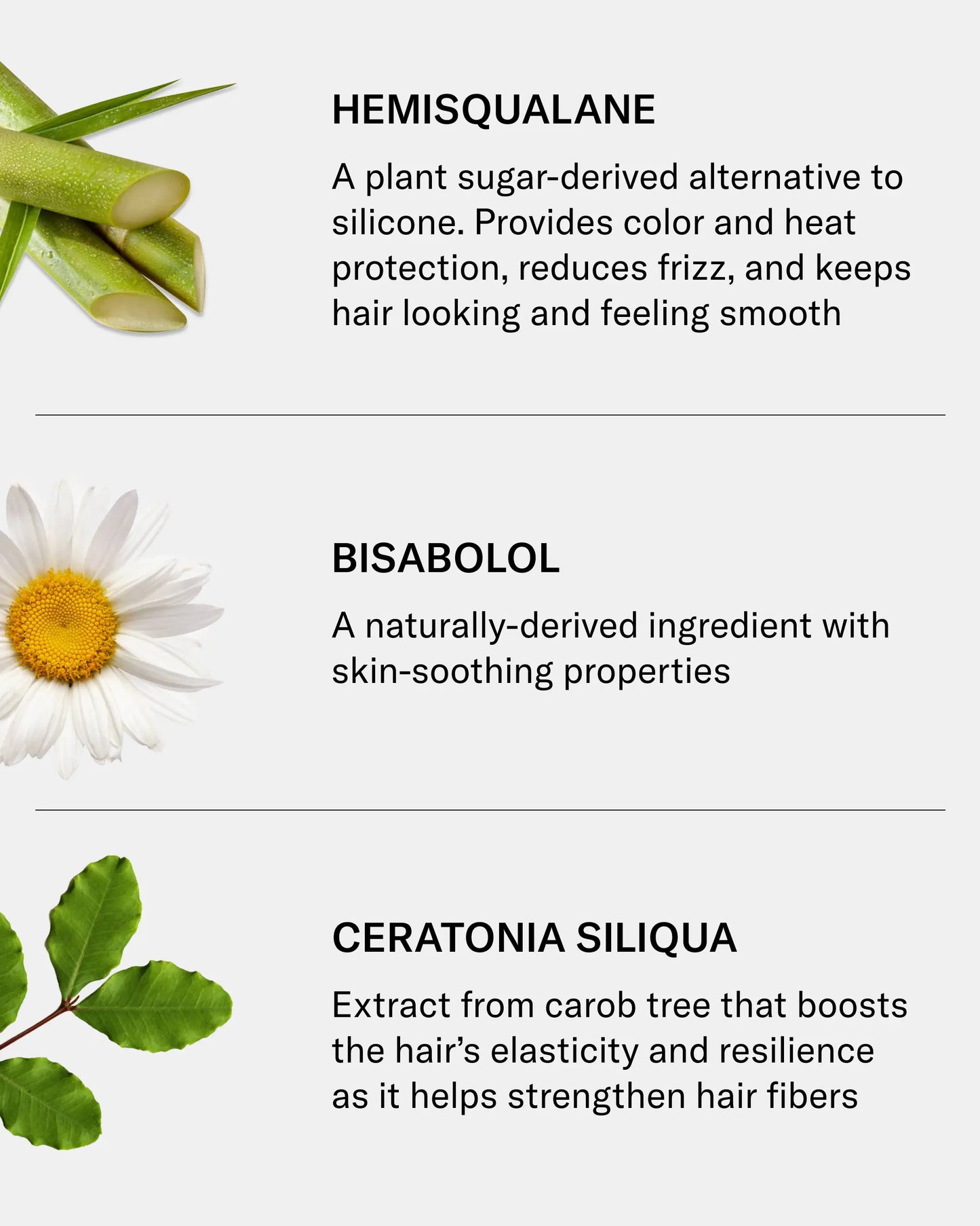 SEEN Leave-In Conditioner, Fragrance Free