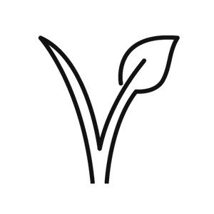 Vegan
